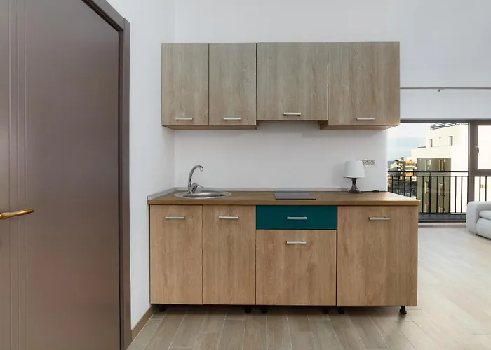 Hotel Cochet Navodari